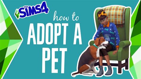 sims 4 can't adopt pet.